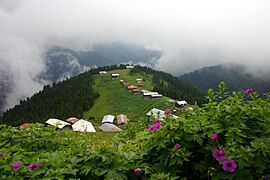 Pokut Yaylası Rize