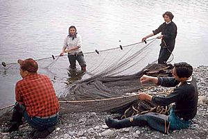 Quileute Net Fishing