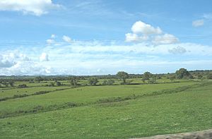 Reclaimed farmland on the western edge of the Malltraeth Marsh - geograph.org.uk - 877746