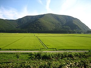 Rice Paddies In Aizu, Japan