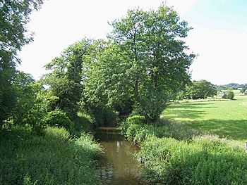 River Blithe Looking North - geograph.org.uk - 472496.jpg