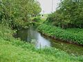 River Mease - geograph.org.uk - 428104