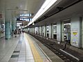 Roppongi Station Hibiya Line Platform 2013