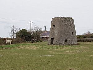 Ruined windmill near Kilmore Quay - geograph.org.uk - 1257461