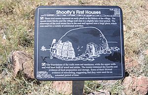 Shoofly Village Ruin, Shoofly’s First Houses
