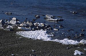 Soap Lake