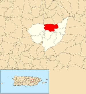 Location of Sonadora within the municipality of Aguas Buenas shown in red