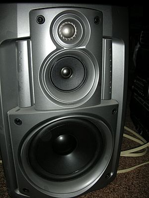 Speaker that have been for the task