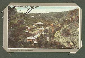 StateLibQld 1 237073 Stannary Hills in North Queensland, ca. 1907