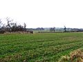 Stubble, Blackadder Mount - geograph.org.uk - 338064