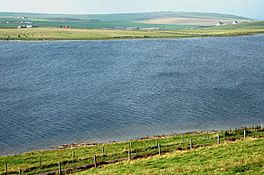 Loch of Swannay