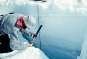 Taku glacier firn ice sampling