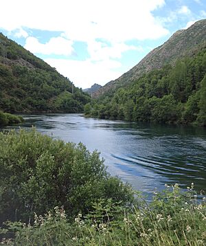 Tavascan