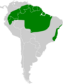 Thamnomanes caesius map