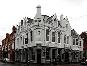 The Albert, Lark Lane 2018