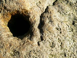 The Blowing Stone blow hole, Kingston Lisle - geograph.org.uk - 666866