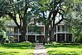 The Elms (Natchez, Mississippi)