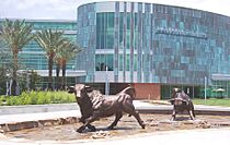 USF Marshall Center Running of the Bulls