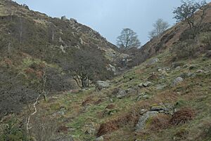 Upper Course of the River Eea (Whitestone Beck) near to its source