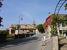 Allaman village