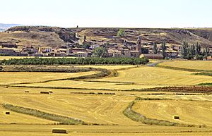 Villarroya del Campo 01.jpg