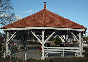 Well Pavioion Ludowici GA USA