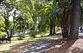 Wickham-Park-2
