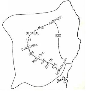 Yugambeh-Bundjalung Dialect Chain Situation
