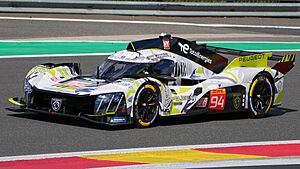 2024 6 Hours of Spa-Francorchamps Peugeot TotalEnergies Peugeot 9X8 No.94 (DSC02285)