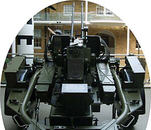 20 mm Twin Anti-Aircraft Cannon IWM 3