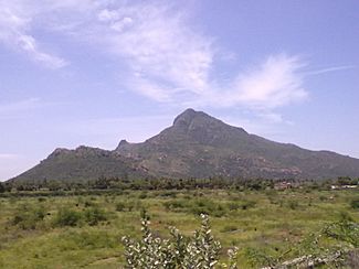 A view of Thiruvanamalai Mountain.