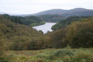 Achray Forest - geograph.org.uk - 669038