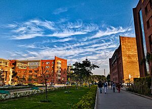 Amity University Noida