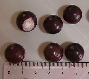 Aniseed balls 2006-01-03 (cropped)