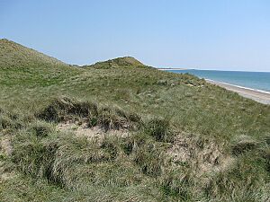 Ballteige Burrow - geograph.org.uk - 1372041