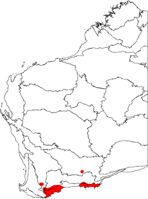 Banksia nutans map