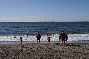 Beach at Westport, WA 01