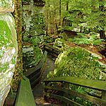 Stones covered in moss flanking a wooden staircase along a hiking trail in the forest.
