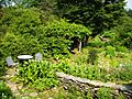 Berkshire Botanical Garden (herb garden)