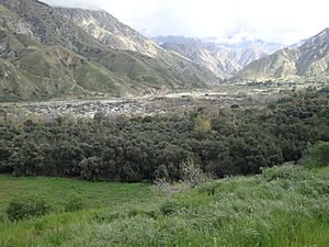 Big Tujunga Canyon