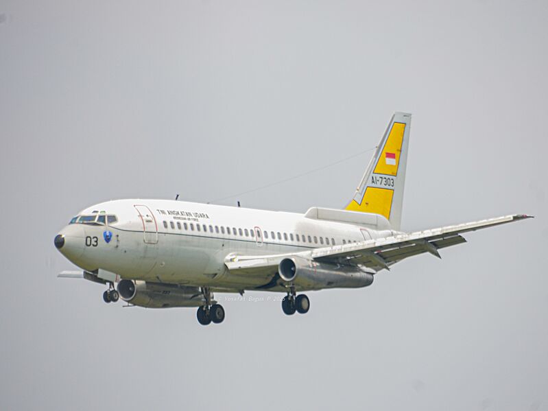 Boeing B737-2X9(200) Surveiller