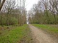 Bridleway through Old Sulehay Forest - geograph.org.uk - 153917