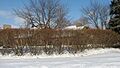 C. Leppert Barn site