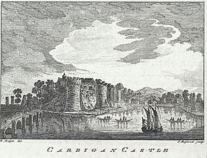 Cardigan Castle (1128930)
