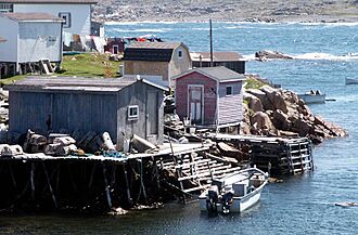 Carlb-fogo-newfoundland-fishery-2002