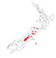 Carmichaelia torulosaDistNZ