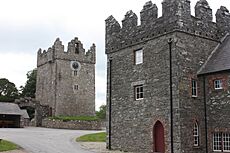 Castle Ward Castle, June 2011 (01)