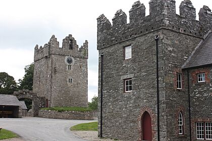 Castle Ward Castle, June 2011 (01)