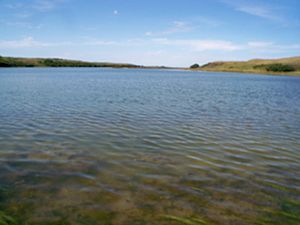 Castlewood lake's first penninsula