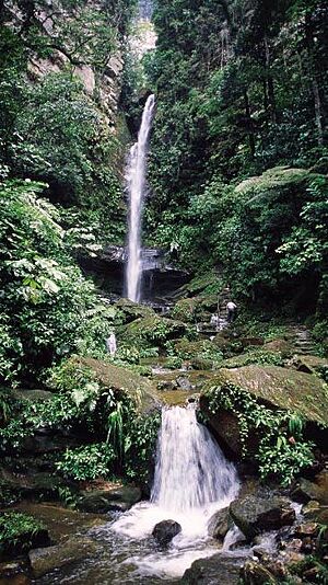 Catarata de ahuashiyacu